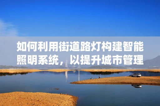 如何利用街道路灯构建智能照明系统，以提升城市管理效率与居民生活质量？