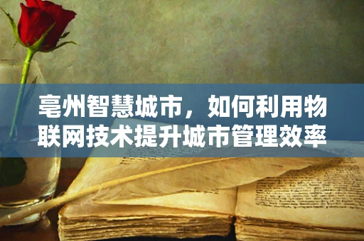 亳州智慧城市，如何利用物联网技术提升城市管理效率？
