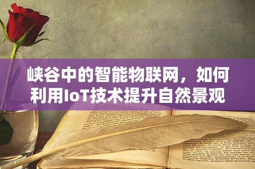 峡谷中的智能物联网，如何利用IoT技术提升自然景观的可持续性？