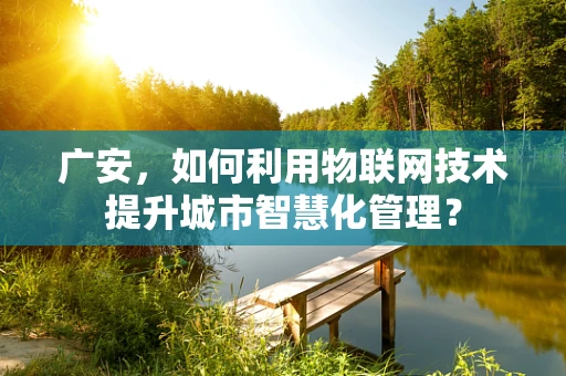 广安，如何利用物联网技术提升城市智慧化管理？