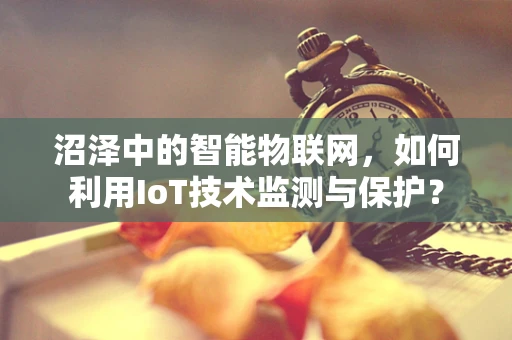沼泽中的智能物联网，如何利用IoT技术监测与保护？