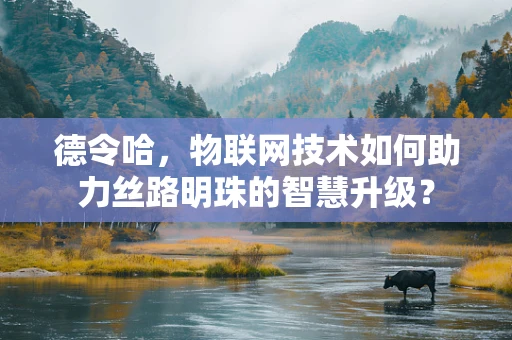 德令哈，物联网技术如何助力丝路明珠的智慧升级？
