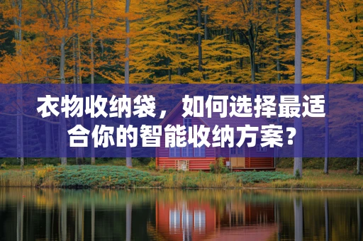 衣物收纳袋，如何选择最适合你的智能收纳方案？