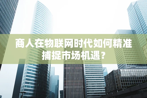 商人在物联网时代如何精准捕捉市场机遇？