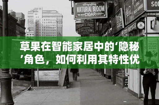 草果在智能家居中的‘隐秘’角色，如何利用其特性优化环境监测？