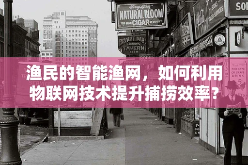 渔民的智能渔网，如何利用物联网技术提升捕捞效率？