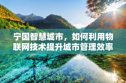 宁国智慧城市，如何利用物联网技术提升城市管理效率？