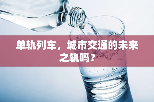 单轨列车，城市交通的未来之轨吗？