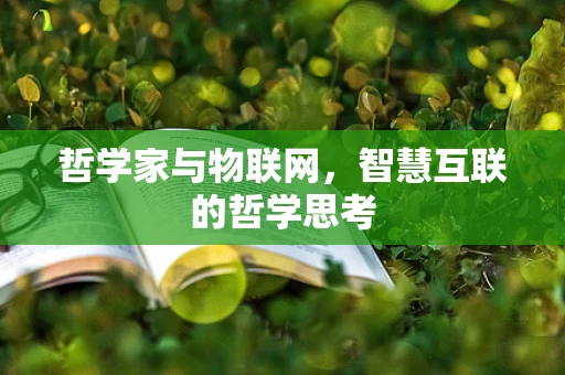 哲学家与物联网，智慧互联的哲学思考