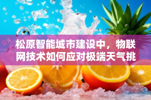 松原智能城市建设中，物联网技术如何应对极端天气挑战？