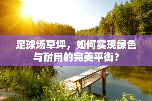 足球场草坪，如何实现绿色与耐用的完美平衡？