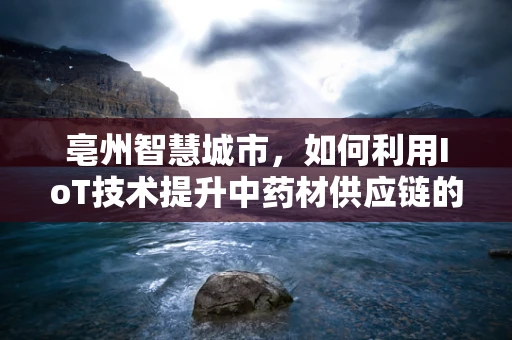 亳州智慧城市，如何利用IoT技术提升中药材供应链的透明度与效率？