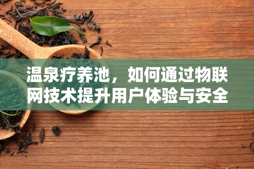 温泉疗养池，如何通过物联网技术提升用户体验与安全？