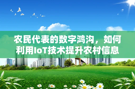 农民代表的数字鸿沟，如何利用IoT技术提升农村信息获取与决策能力？