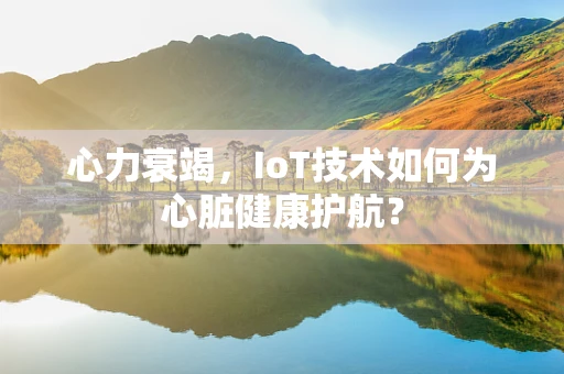 心力衰竭，IoT技术如何为心脏健康护航？