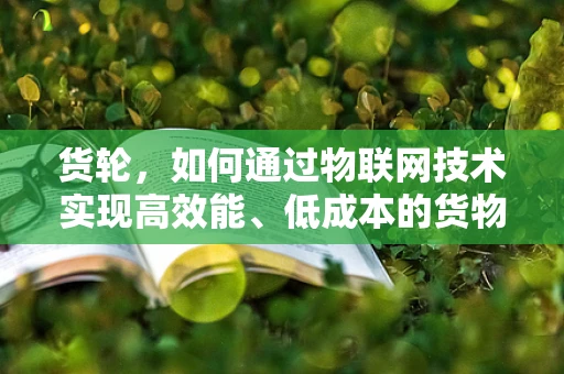 货轮，如何通过物联网技术实现高效能、低成本的货物运输？