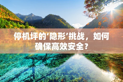 停机坪的‘隐形’挑战，如何确保高效安全？