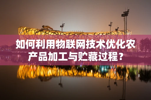 如何利用物联网技术优化农产品加工与贮藏过程？
