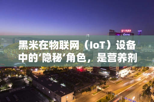 黑米在物联网（IoT）设备中的‘隐秘’角色，是营养剂还是技术催化剂？