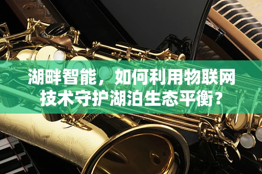 湖畔智能，如何利用物联网技术守护湖泊生态平衡？