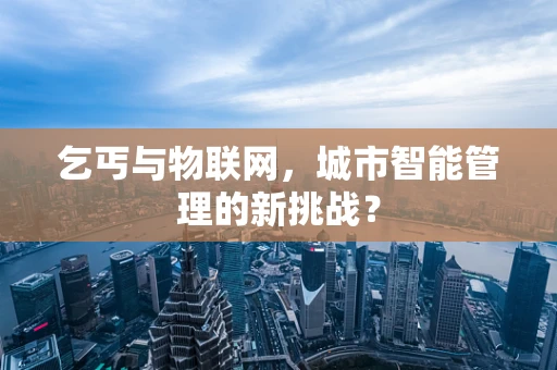 乞丐与物联网，城市智能管理的新挑战？