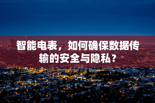 智能电表，如何确保数据传输的安全与隐私？