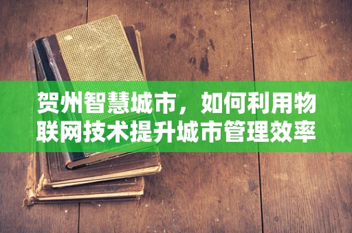 贺州智慧城市，如何利用物联网技术提升城市管理效率？