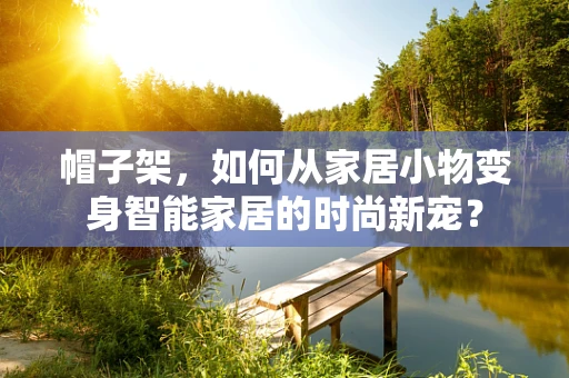 帽子架，如何从家居小物变身智能家居的时尚新宠？