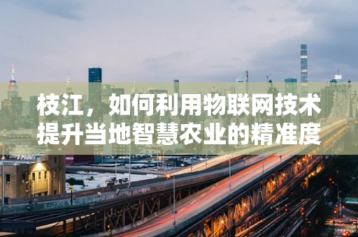 枝江，如何利用物联网技术提升当地智慧农业的精准度？