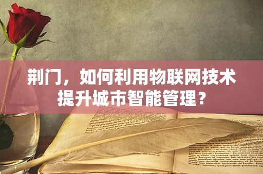 荆门，如何利用物联网技术提升城市智能管理？