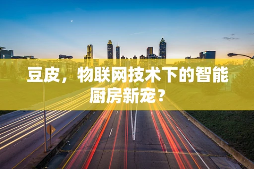 豆皮，物联网技术下的智能厨房新宠？