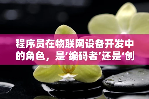 程序员在物联网设备开发中的角色，是‘编码者’还是‘创新者’？