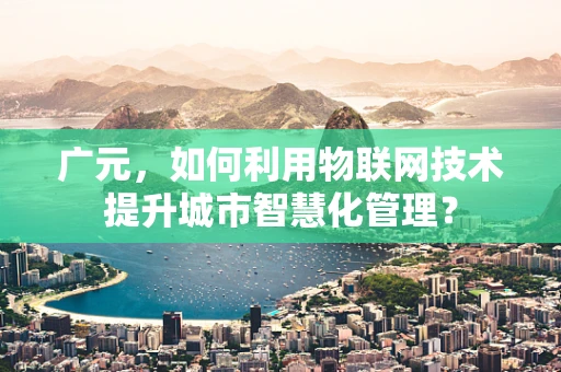 广元，如何利用物联网技术提升城市智慧化管理？