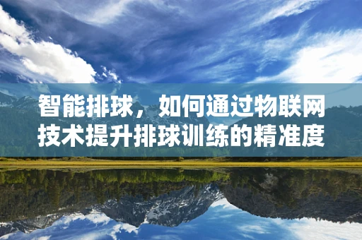 智能排球，如何通过物联网技术提升排球训练的精准度与效率？