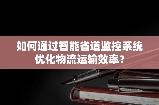 如何通过智能省道监控系统优化物流运输效率？