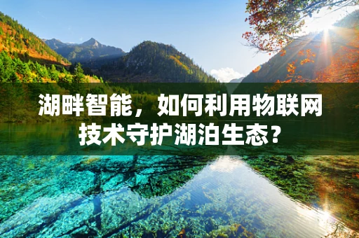 湖畔智能，如何利用物联网技术守护湖泊生态？