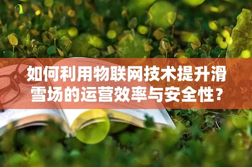 如何利用物联网技术提升滑雪场的运营效率与安全性？