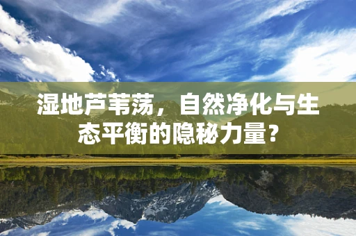 湿地芦苇荡，自然净化与生态平衡的隐秘力量？