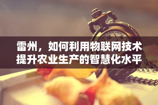 雷州，如何利用物联网技术提升农业生产的智慧化水平？