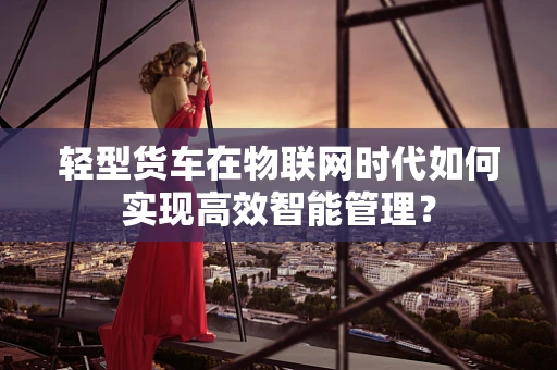 轻型货车在物联网时代如何实现高效智能管理？