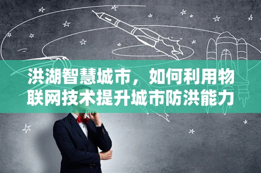 洪湖智慧城市，如何利用物联网技术提升城市防洪能力？