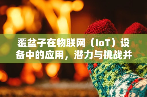 覆盆子在物联网（IoT）设备中的应用，潜力与挑战并存？