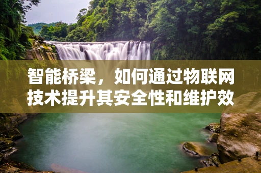 智能桥梁，如何通过物联网技术提升其安全性和维护效率？