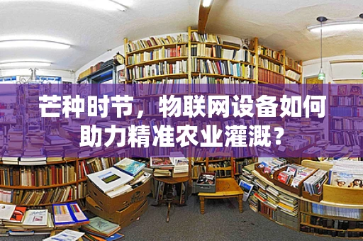 芒种时节，物联网设备如何助力精准农业灌溉？