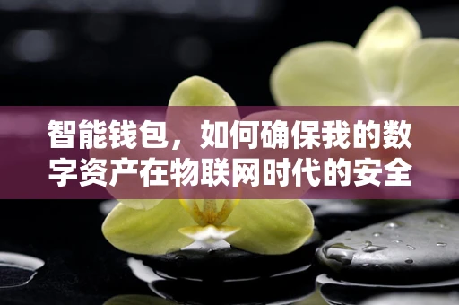 智能钱包，如何确保我的数字资产在物联网时代的安全？
