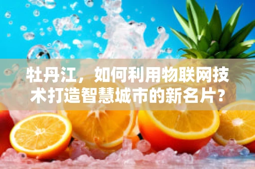 牡丹江，如何利用物联网技术打造智慧城市的新名片？