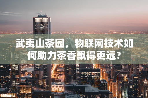 武夷山茶园，物联网技术如何助力茶香飘得更远？