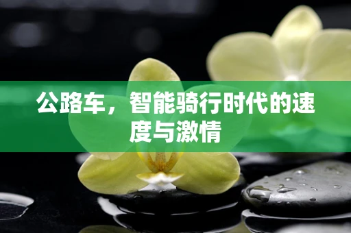 公路车，智能骑行时代的速度与激情