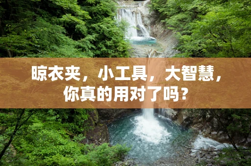 晾衣夹，小工具，大智慧，你真的用对了吗？