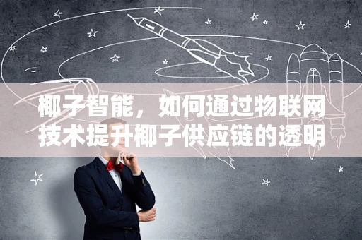 椰子智能，如何通过物联网技术提升椰子供应链的透明度？